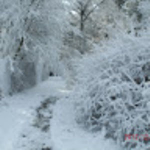 Meet your Posher, Raymond